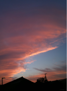 [ひとり言 2010.11.15] 日がほんとに早く落ちてきましたね