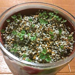 4610E795-B619-43D9-A0F2-A85F28F15302