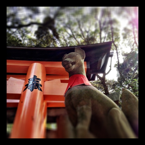 Featured image of post 伏見稲荷大社の千本鳥居