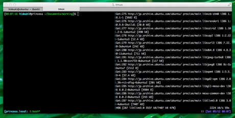 さくらインターネットVPSのUbuntuを12.4にアップグレードする