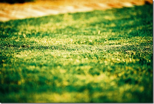 Featured image of post 日記【1号:2012/06/28】なんとなく始める